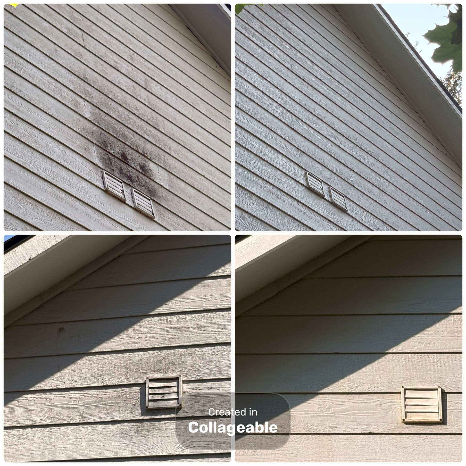 Gallery photos for Spider Nests, Grime, and Dirty Siding - All Gone: Image #2