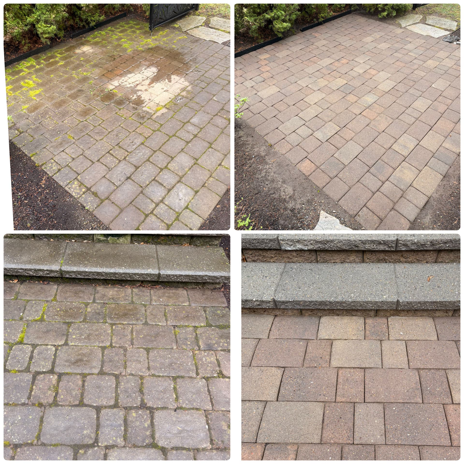 Gallery photos for Deck, Pergola, Patio, and House Soft Wash Full Property Clean: Image #5