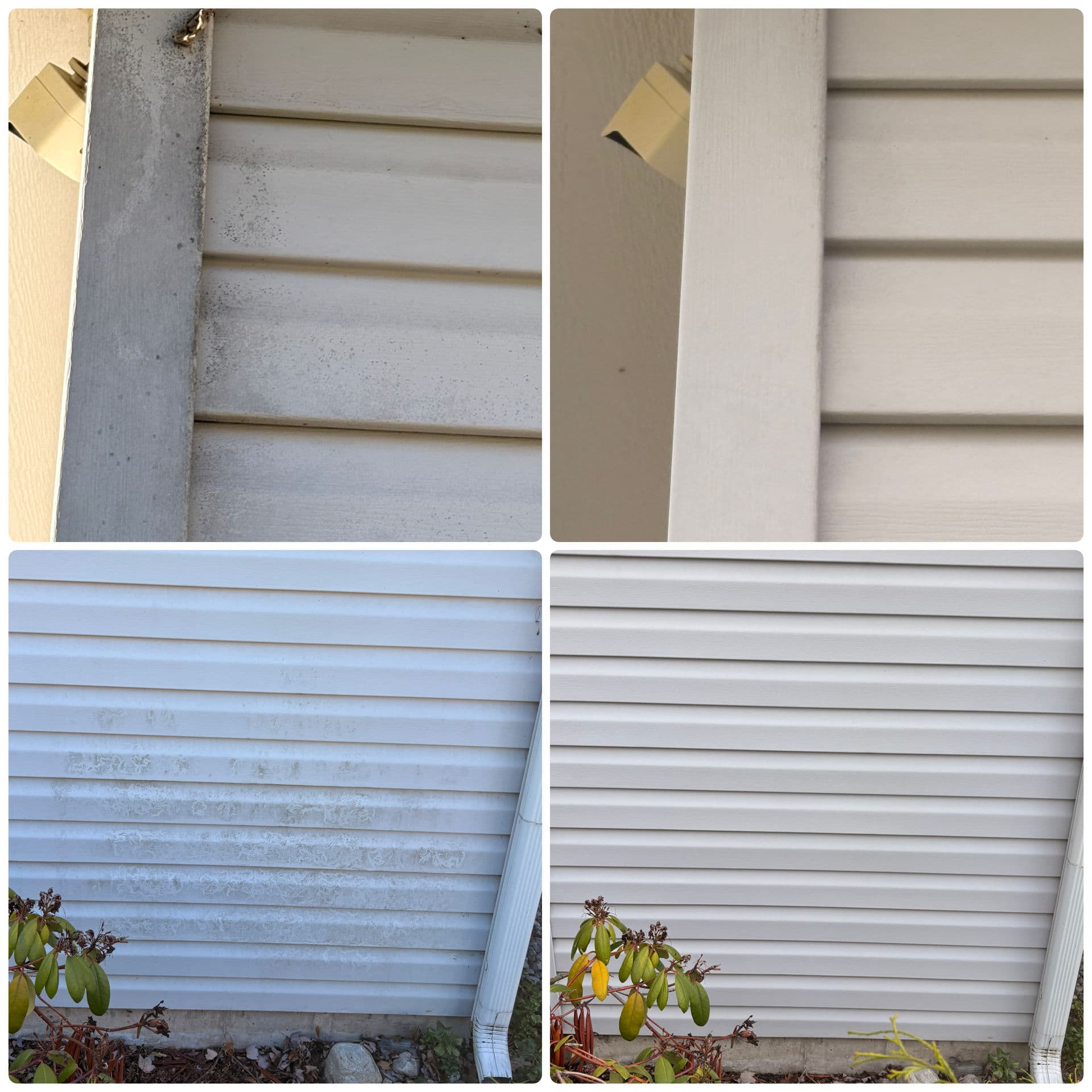 Gallery photos for Deck, Pergola, Patio, and House Soft Wash Full Property Clean: Image #6