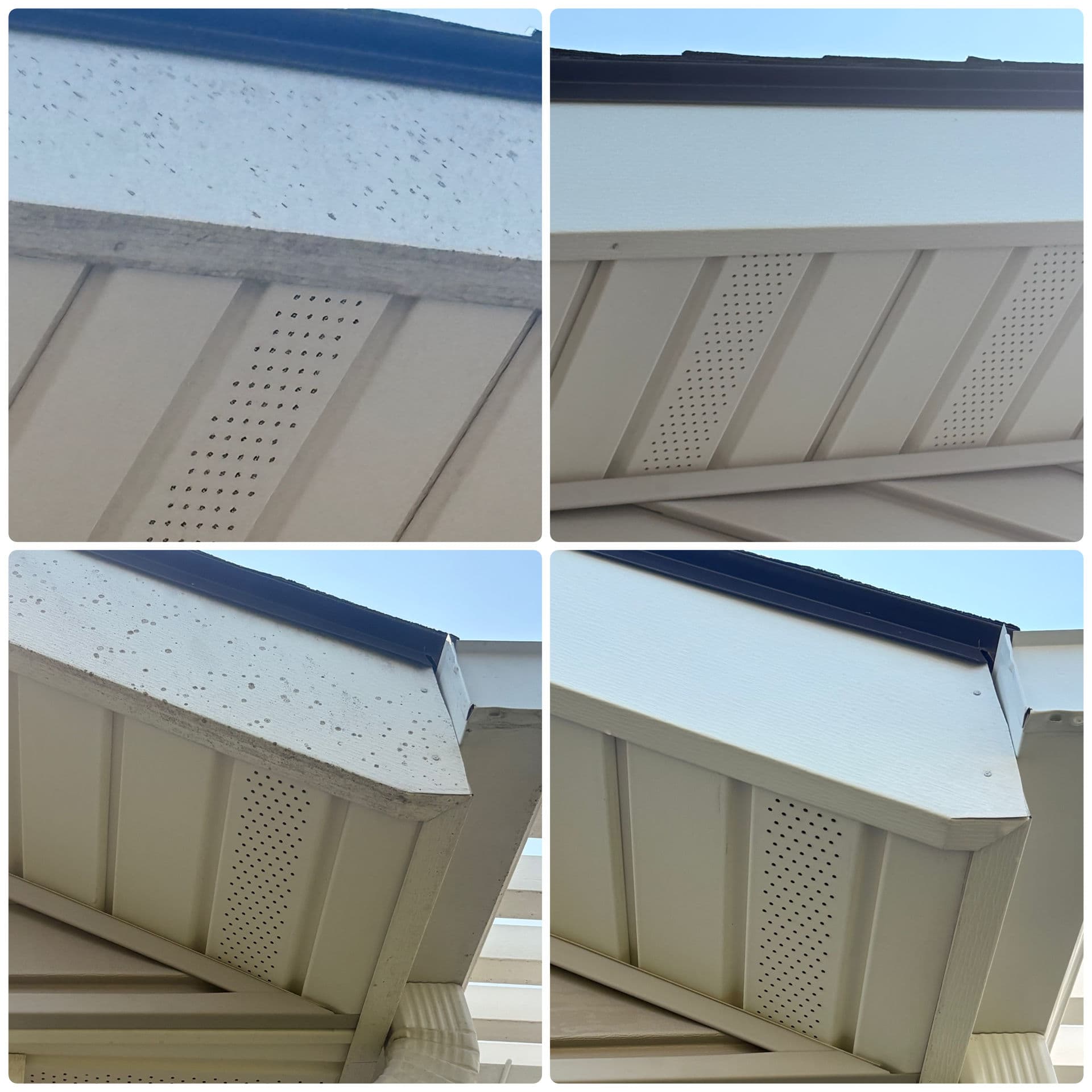 Gallery photos for Spider Nests, Grime, and Dirty Siding - All Gone: Image #3