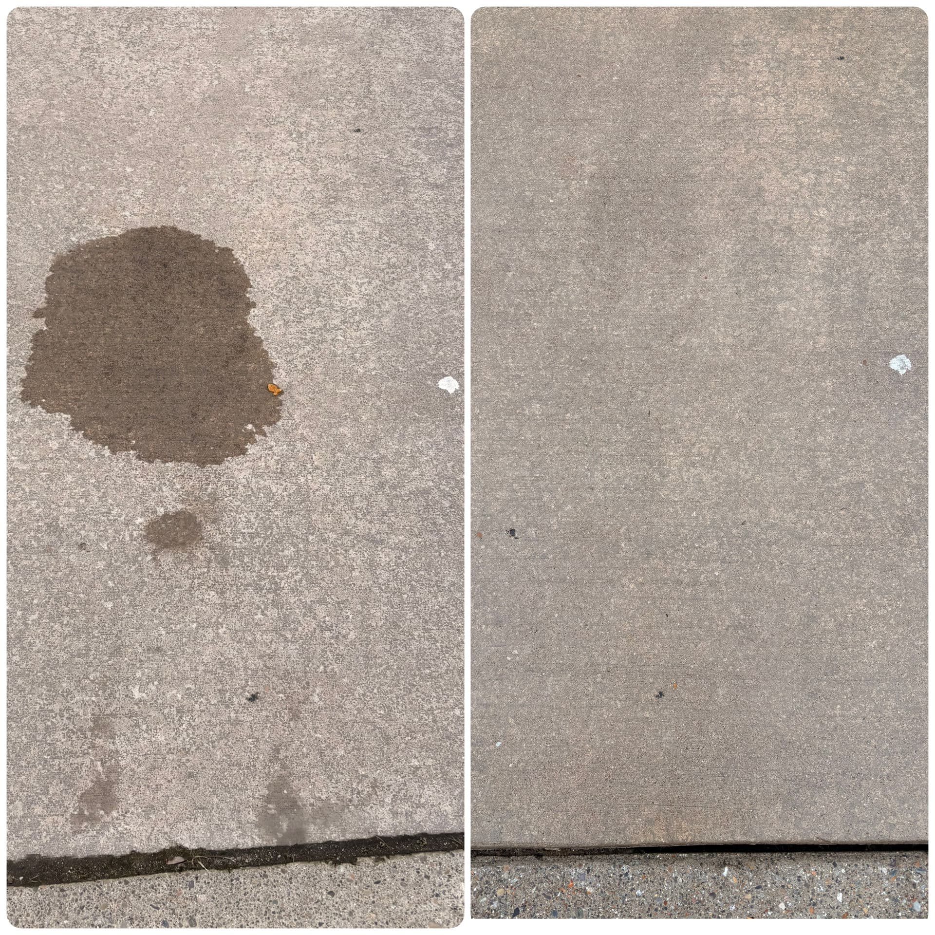 Spotless Sidewalks and Gutter Clear-Out