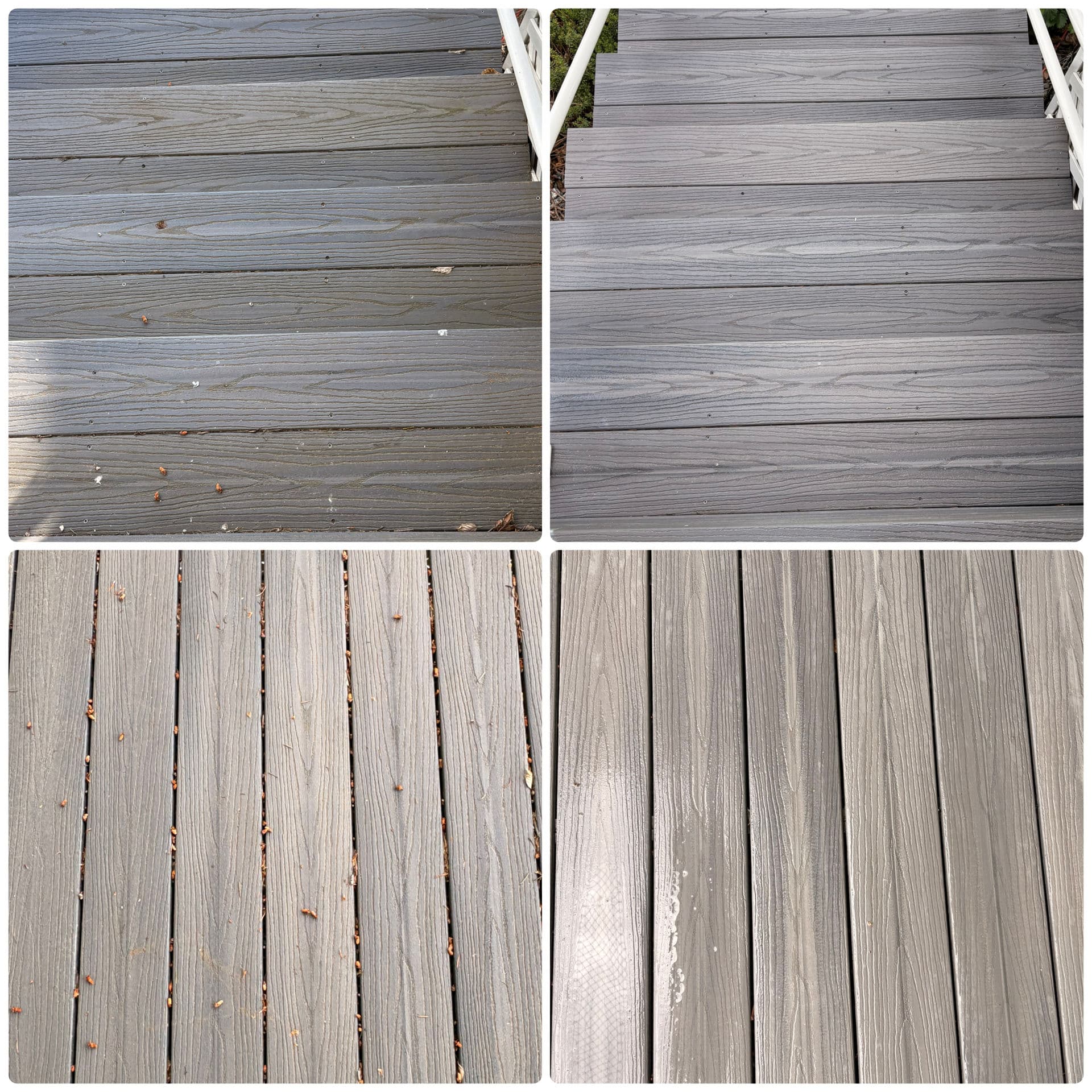 Project Moss and Algae Don't Just Look Bad - They Cause Real Damage image