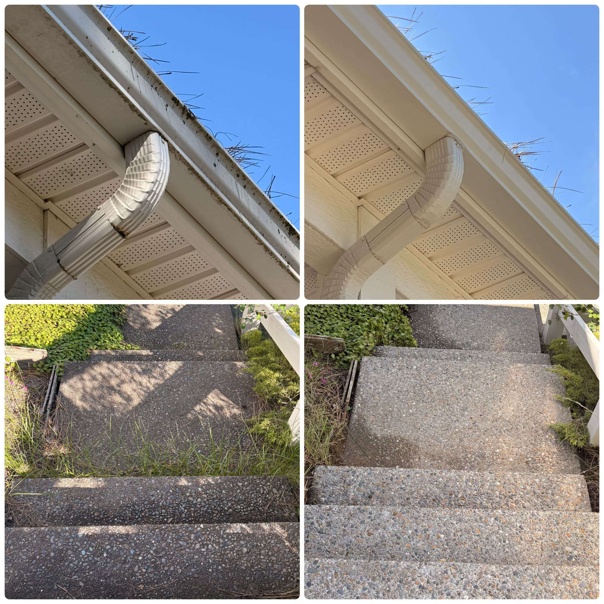 Gallery photos for Concrete, Siding, Gutters and Fence Cleaned Top to Bottom: Image #3
